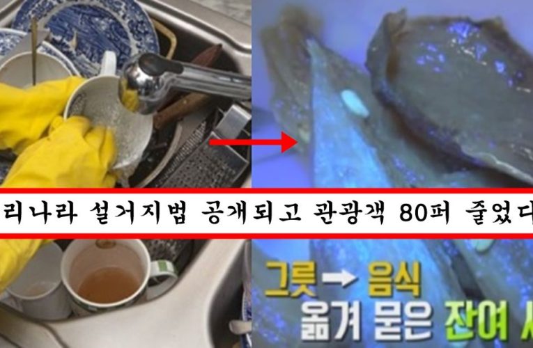 알고보니 설거지 방법 잘못돼서 이렇게 가다간 나중에 다 병 걸리게 생겼다는 한국식 설거지 방법