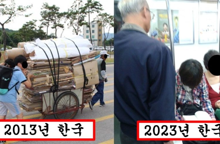 2013년이랑 현재 한국 비교 했을때 한국이 점점 이상해져가는 소름돋는 이유